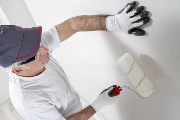 Best Mold Odor Removal Services  in Amite City, LA