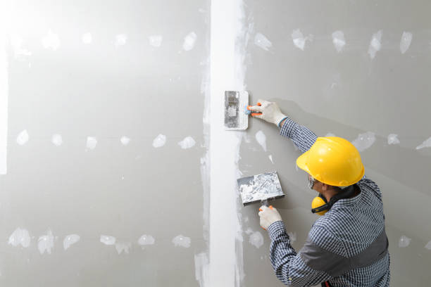  Amite City, LA Mold Removal Pros