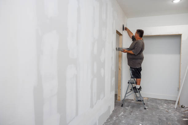 Amite City, LA Mold Removal Company