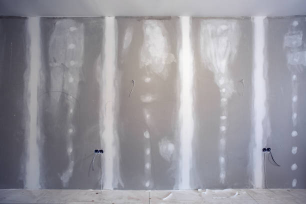 Best Crawl Space Mold Remediation  in Amite City, LA